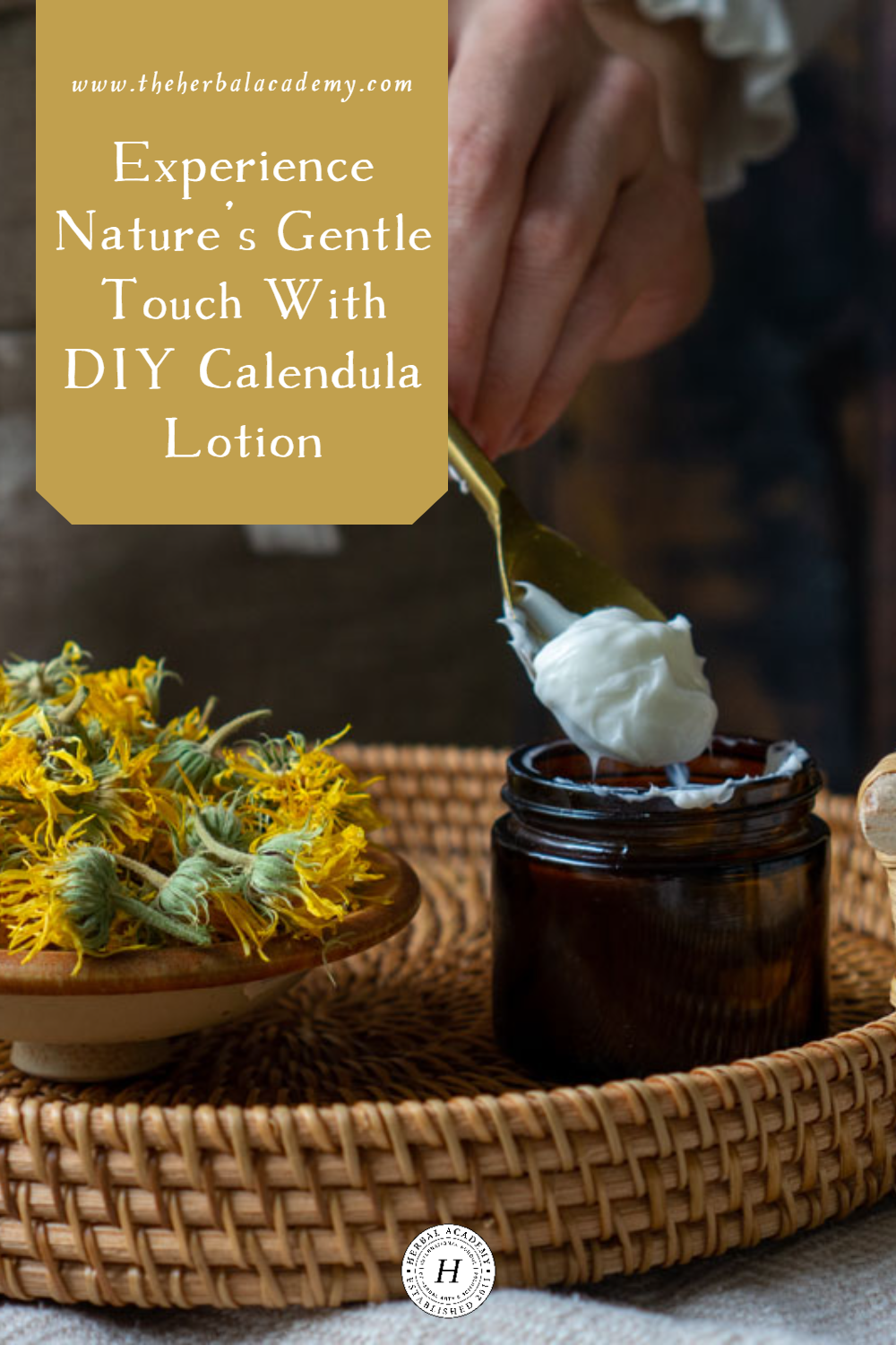 gentle calendula lotion Pinterest image