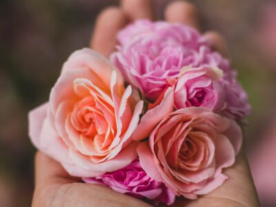 Lifting Spirits: Pleasure with Aphrodisiacs