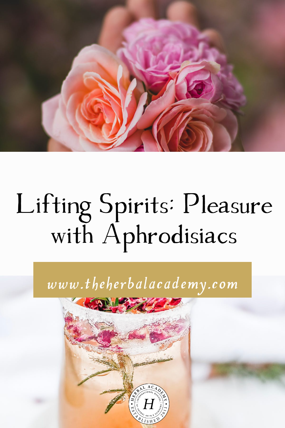 Here's how to work with a variety of herbal preparations, including aphrodisiacs, and lifestyle and diet considerations to reclaim health. 