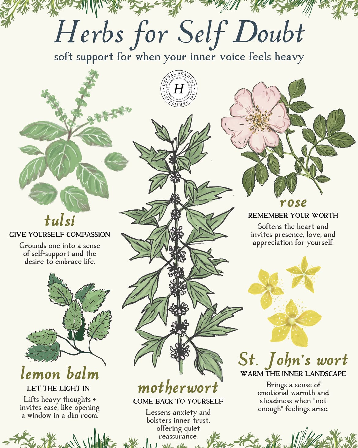 Boost Your Confidence With Herbs for Self-Doubt by Herbal Academy