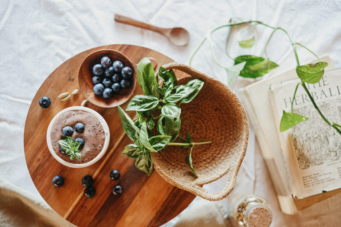 Stay Cool This Summer with 4 Cooling Berry Herbal Nice Cream Recipes by Herbal Academy