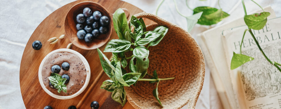 Stay Cool This Summer with 4 Cooling Berry Herbal Nice Cream Recipes by Herbal Academy