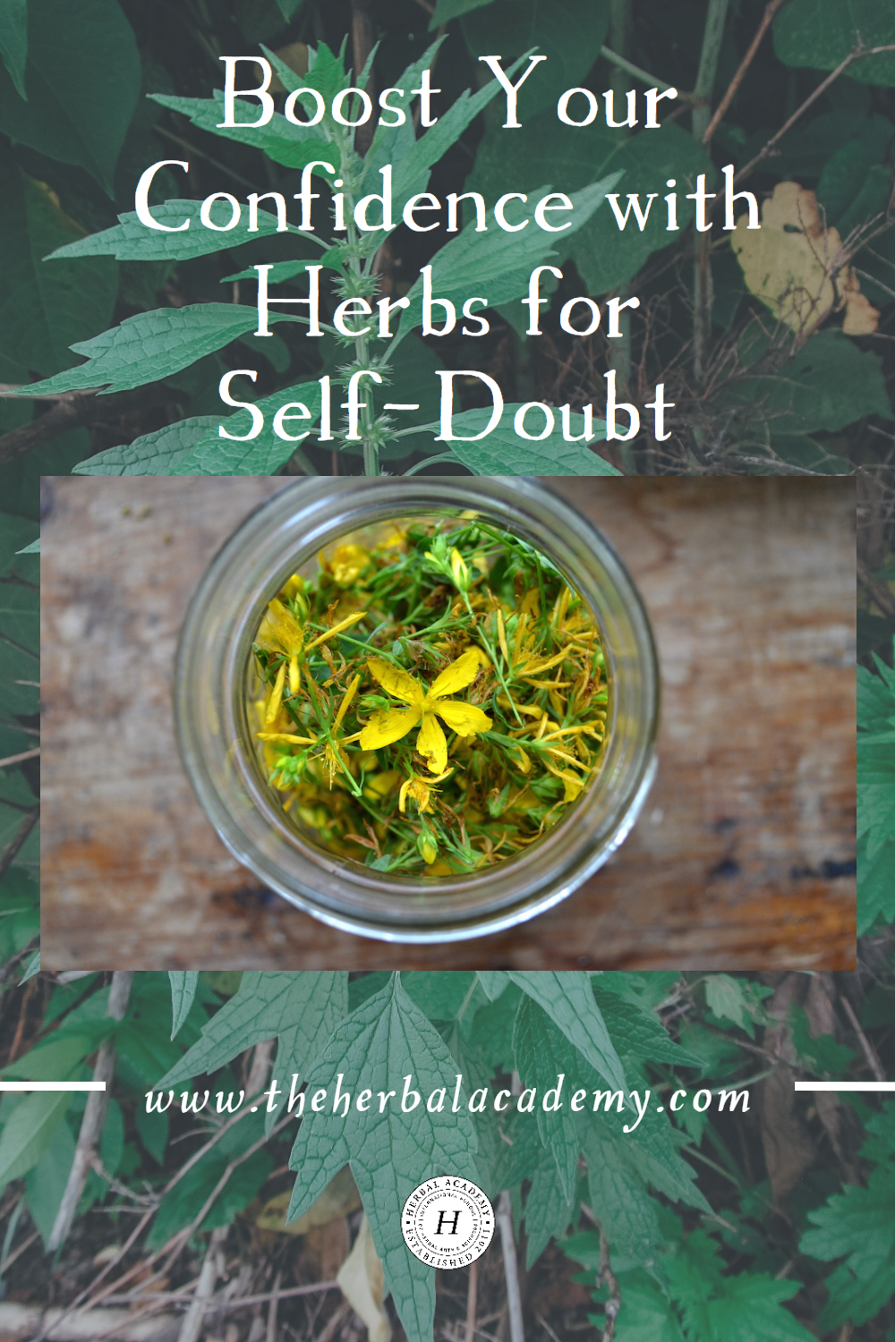Connecting with herbal allies can help you embrace your life with more assurance and vigor and can boost your confidence.