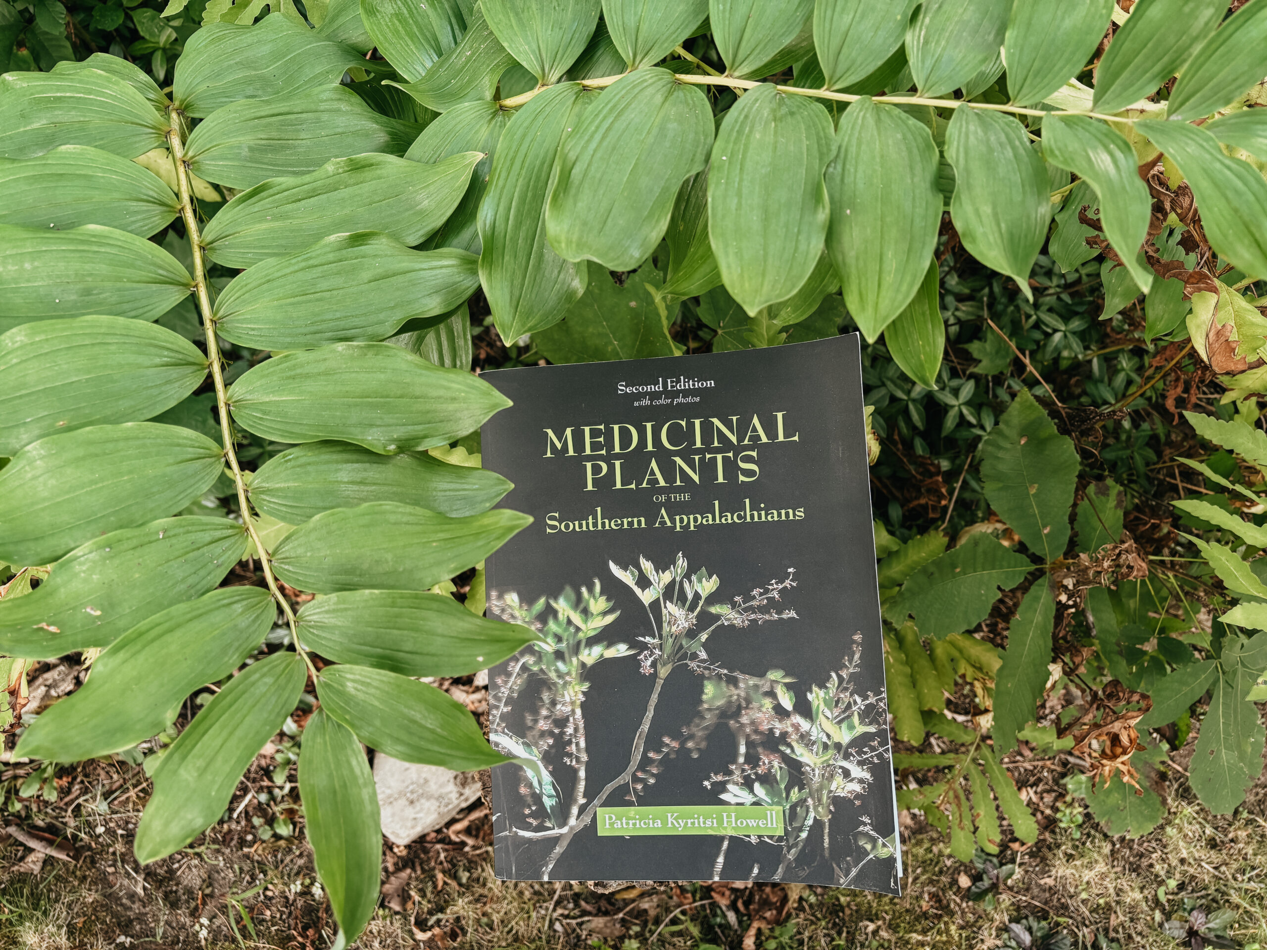 Medicinal Plants book outside on the grass