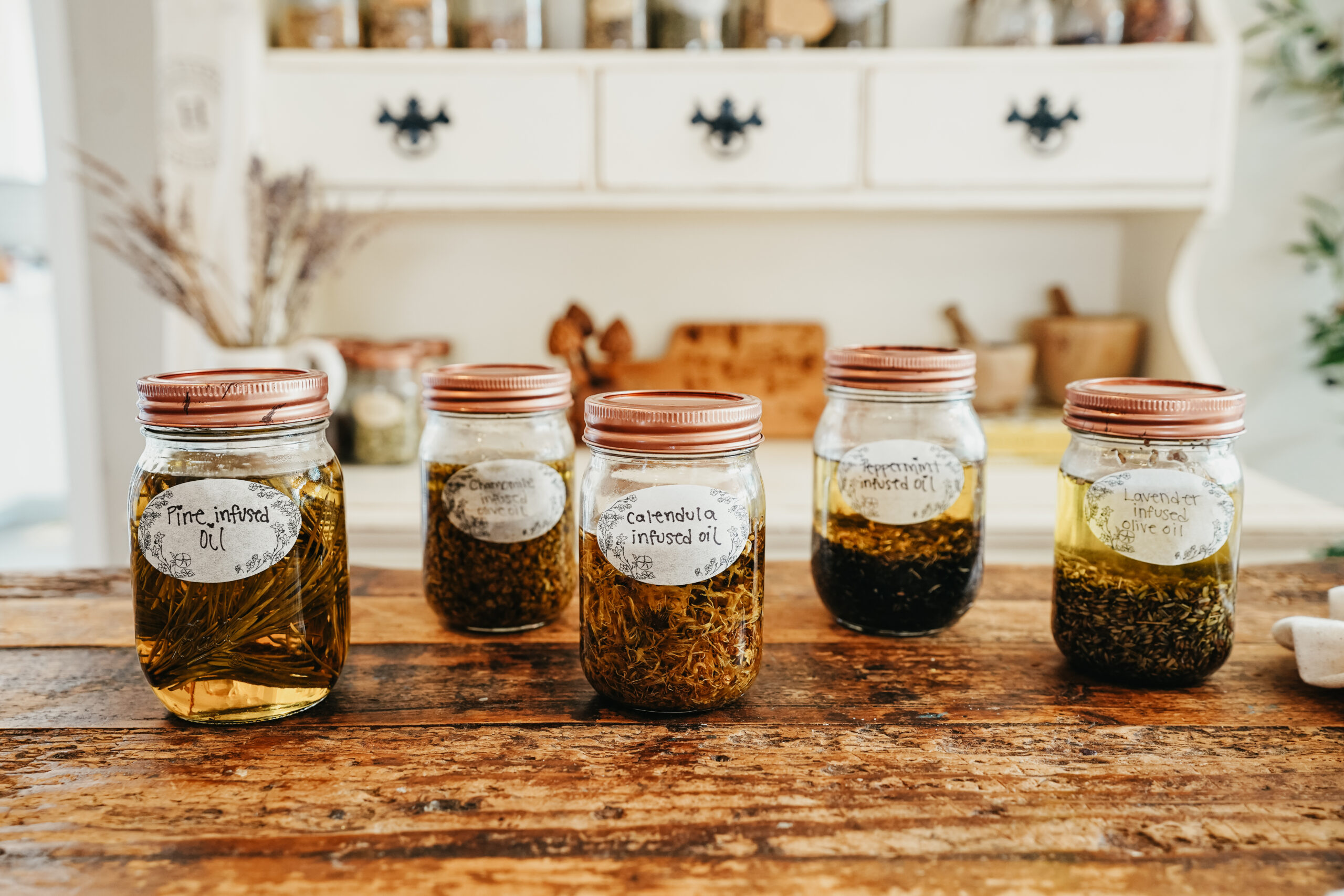 Multiple oils infusing on countertop - Herbal Academy's Herbal Oils Course