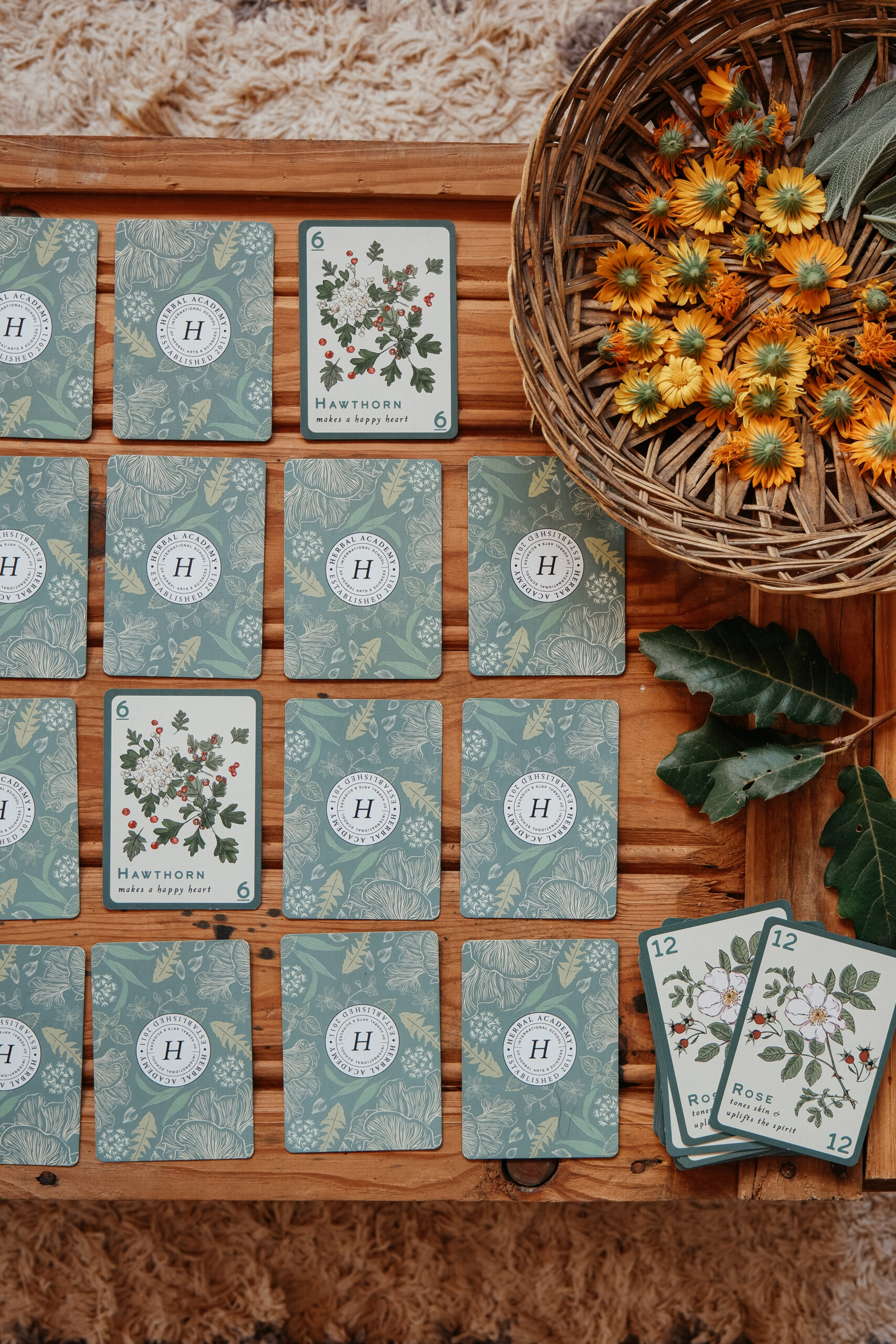 Herbal Academy Card Deck-098