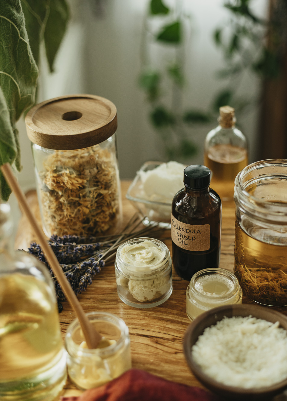 Topical preparations - Herbal Academy's Herbal Oils Course