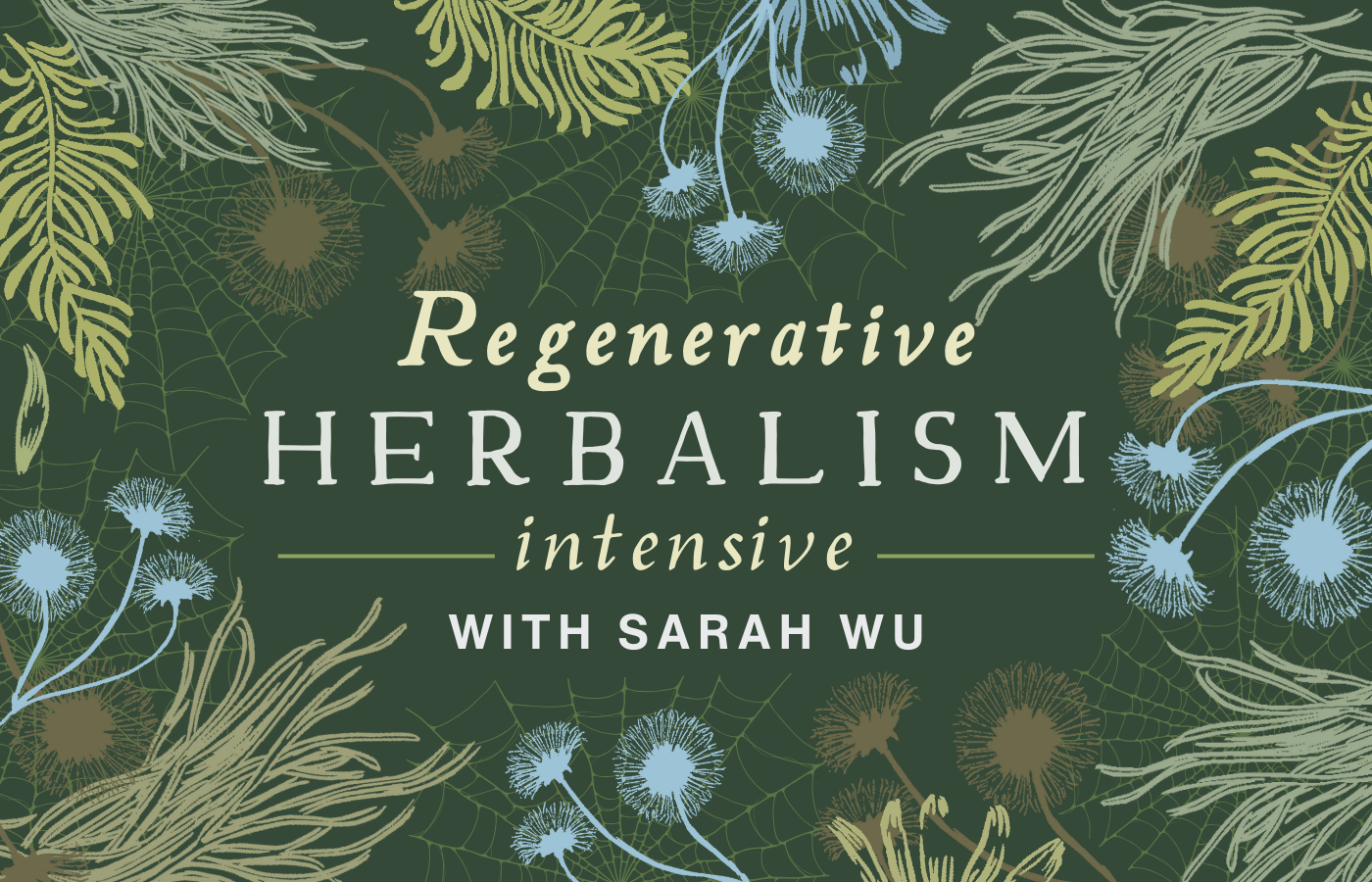 Regenerative Herbalism graphic