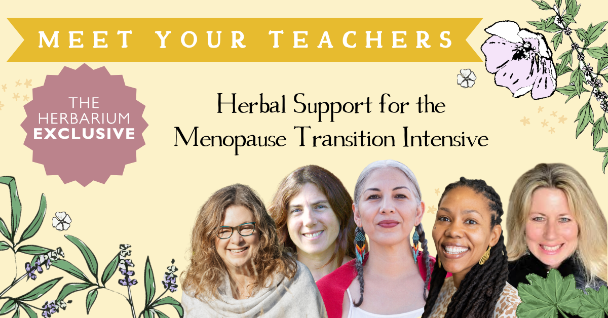 Meet Your Teachers Holistic Approach for the Menopause Transition Intensive graphic