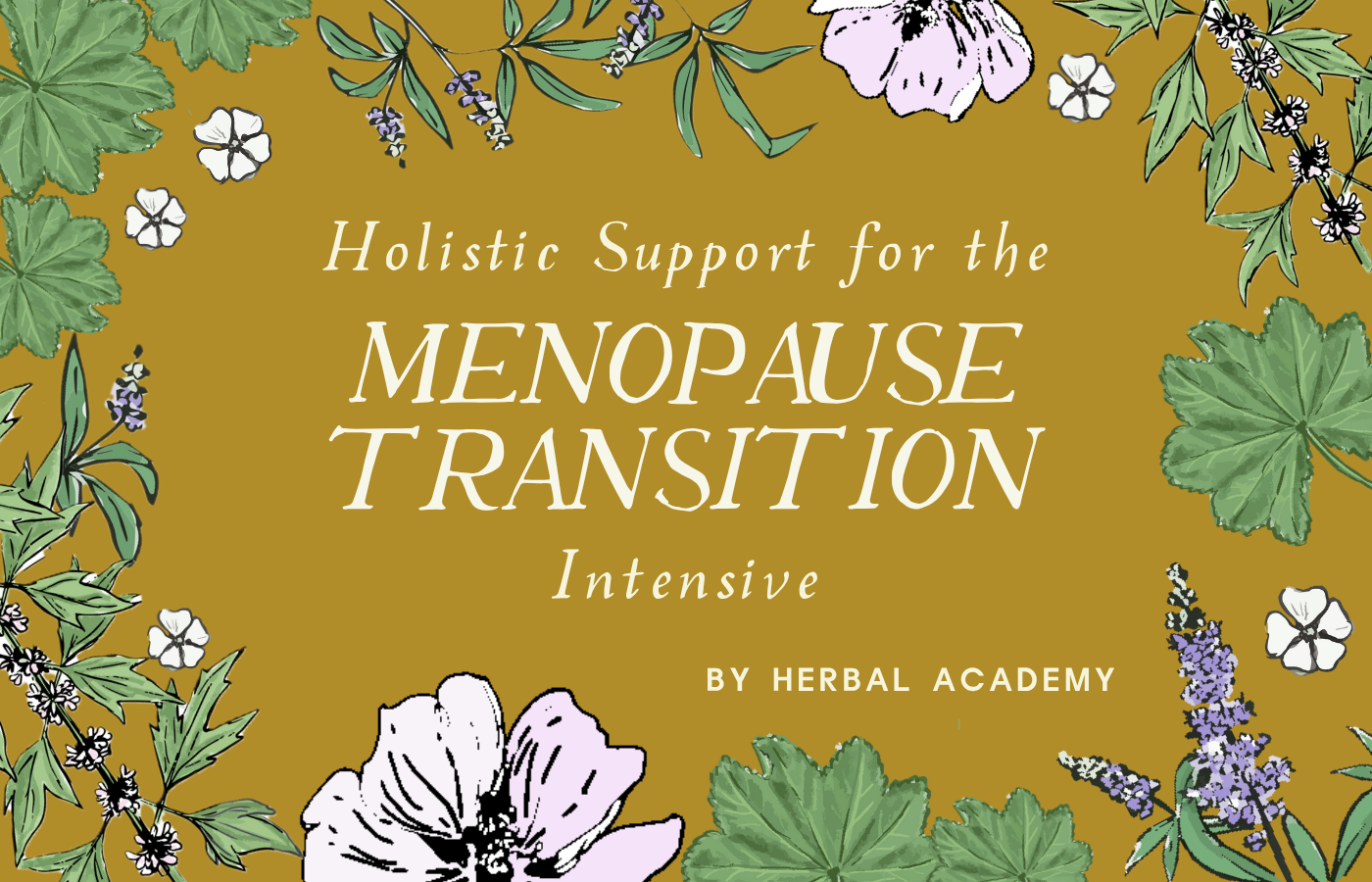 Holistic Support for the Menopause Transition Intensive Graphic