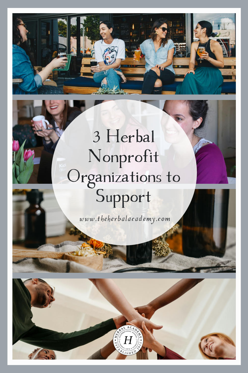 If you want to give back to the herbal community, these 3 nonprofit organizations are centered around herbalism, conservation, and education.