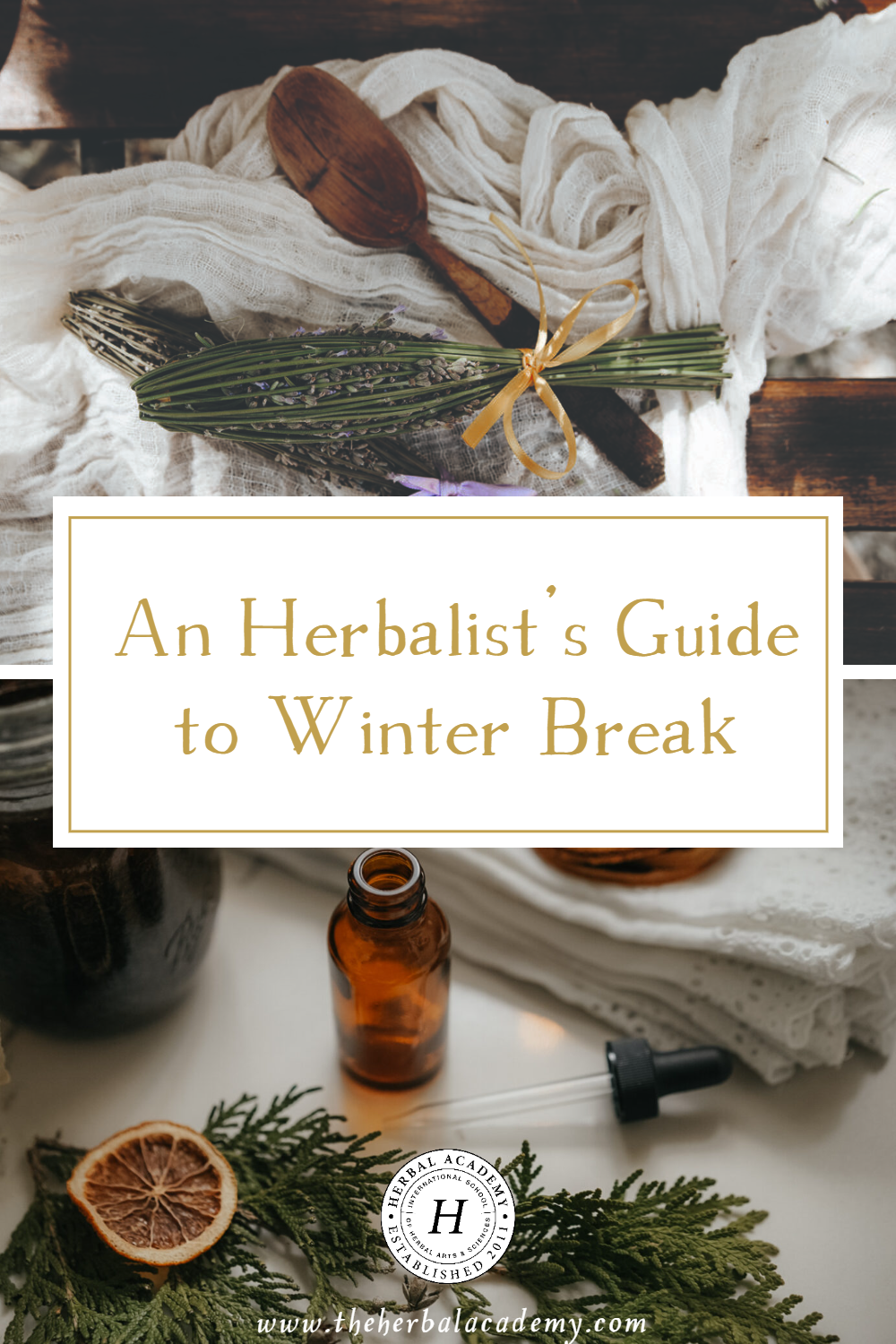 The winter break is the perfect time to experiment with simple herbal crafts that bring warmth, beauty, and a bit of whimsy into the season.