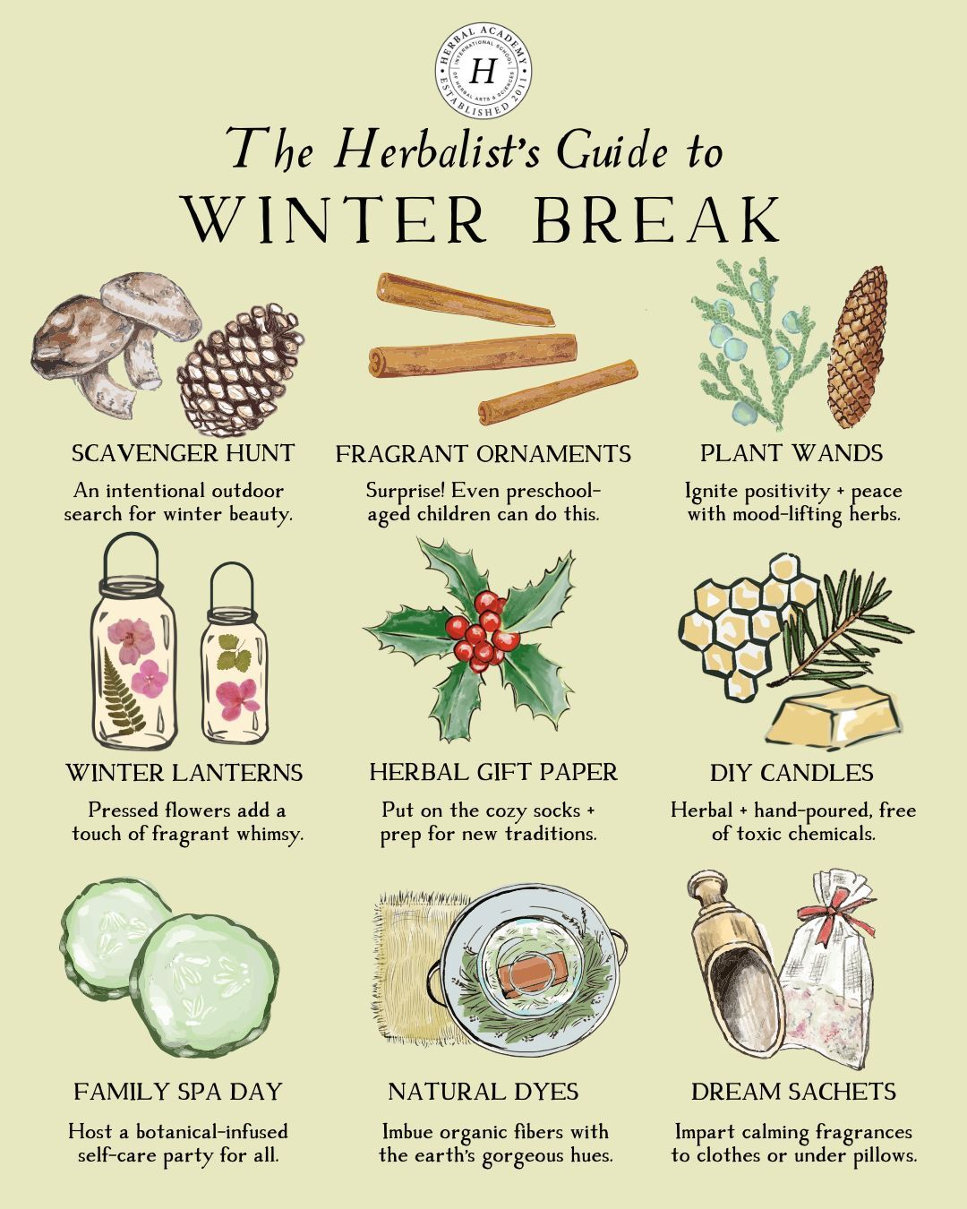 The winter break is the perfect time to experiment with simple herbal crafts that bring warmth, beauty, and a bit of whimsy into the season.