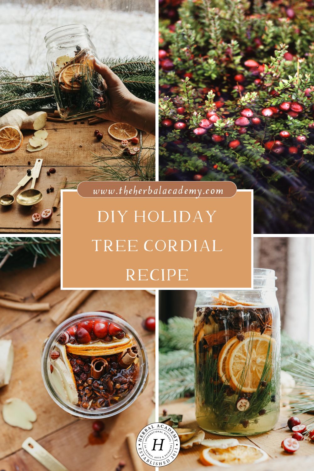 Infusing the best herbs of the season, our DIY Holiday Tree Cordial indulges your taste buds with a cinnamon, spice, and everything nice.