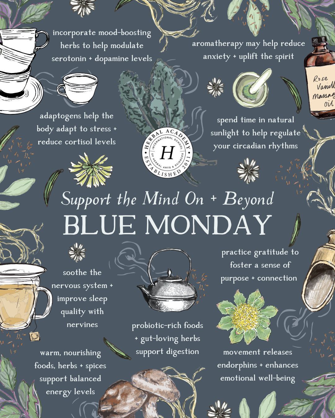 In this article, we’ll explore how herbs can support Blue Monday and mental health during the darker, colder seasons.