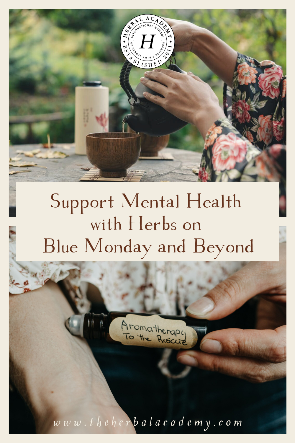 In this article, we’ll explore how herbs can support Blue Monday and mental health during the darker, colder seasons.