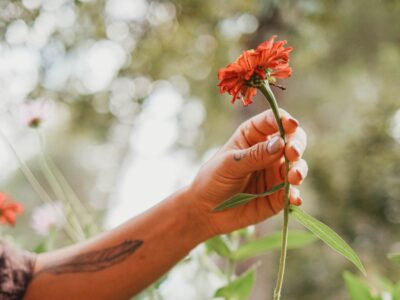 2026 Virtual Herbalism Conference wholeness theme