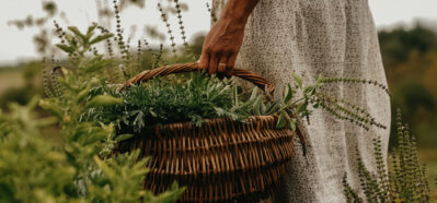 Herbal Academy's The Herbal Garden Course