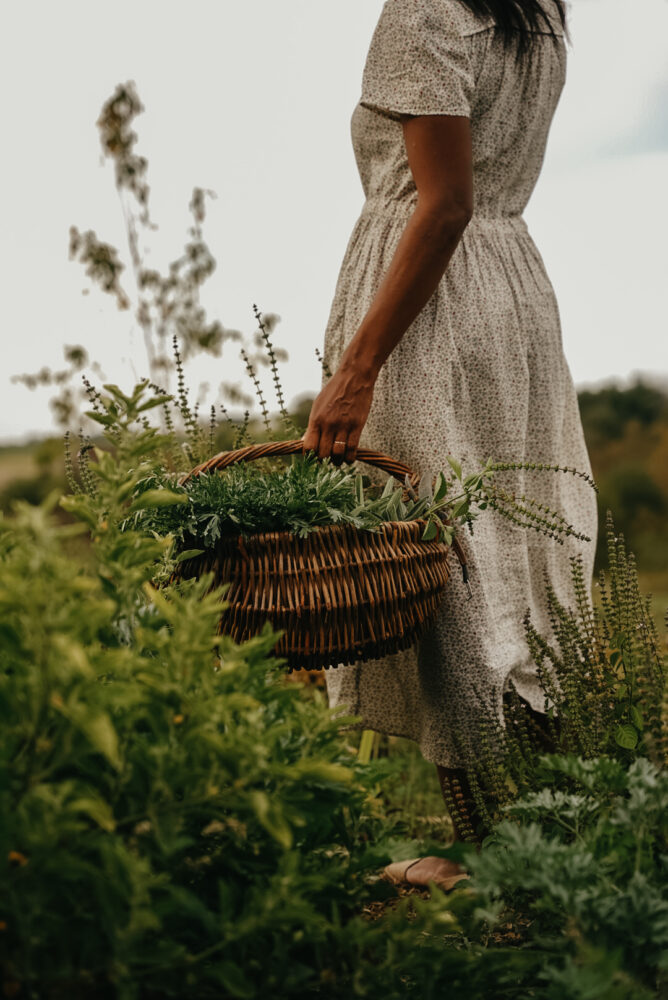Herbal Academy's The Herbal Garden Course