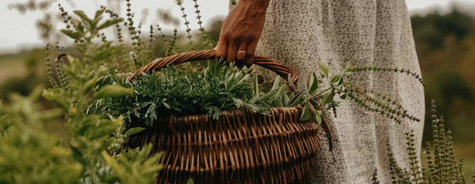 Herbal Academy's The Herbal Garden Course