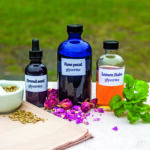 Ginger Glycerite and the Scientific Principles of Herbal Extraction by Herbal Academy