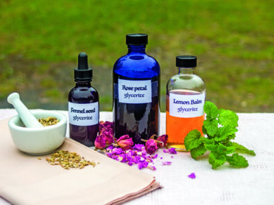 Ginger Glycerite and the Scientific Principles of Herbal Extraction by Herbal Academy