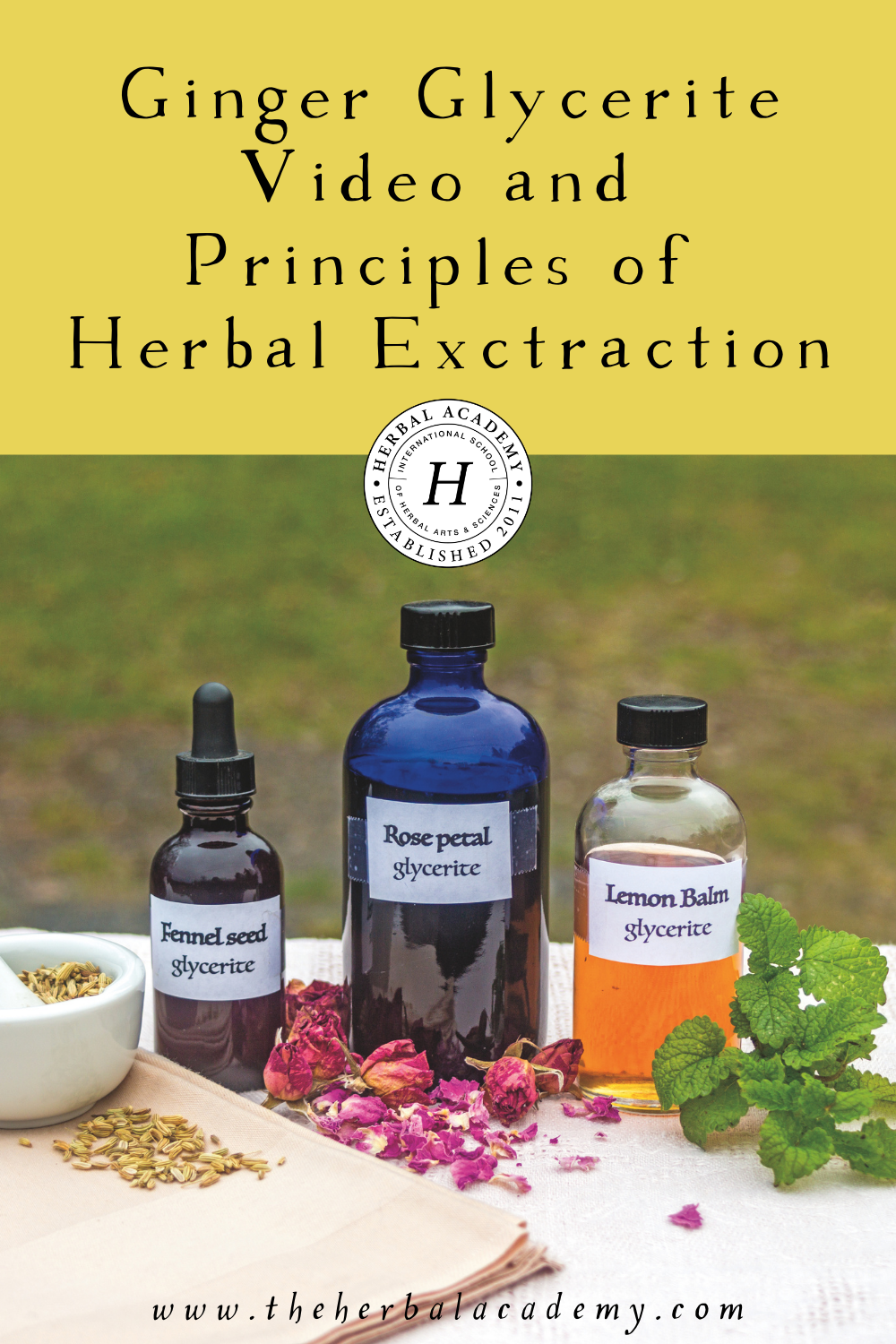 Join Betzy Bancroft in this video while she demonstrates how to make a delicious glycerite using fresh ginger! 