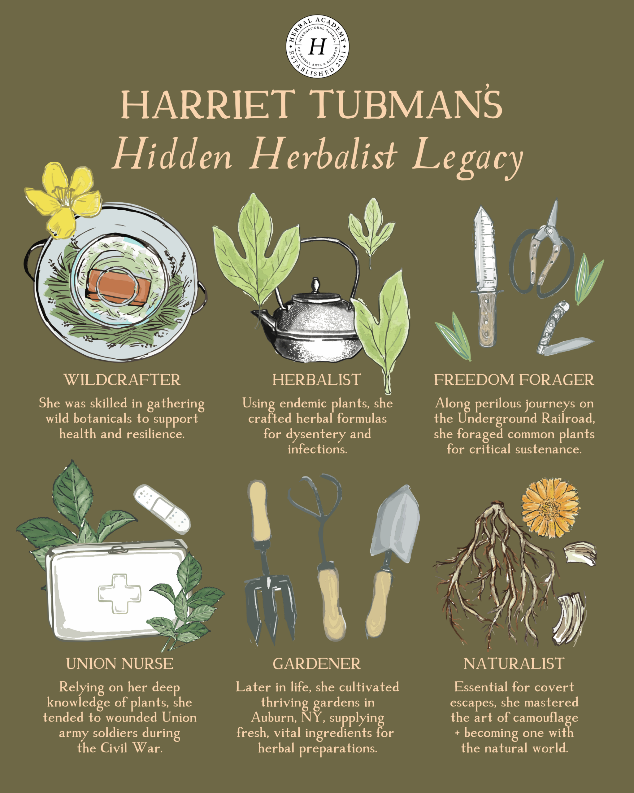 Harriet Tubman's Hidden Herbalist Legacy by Herbal Academy Harriet Tubman Graphic