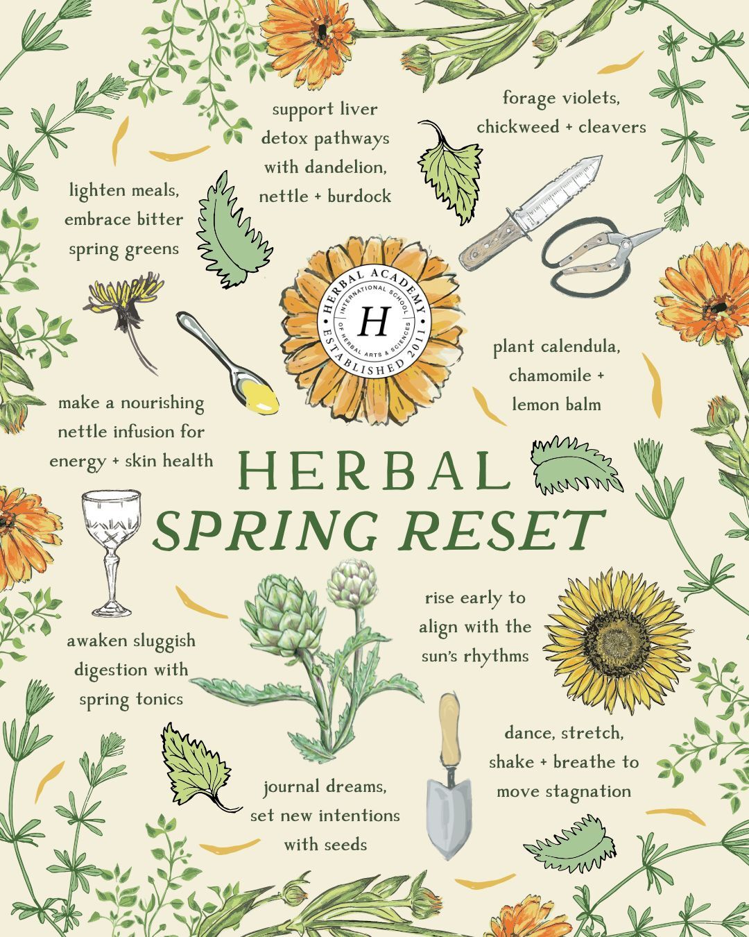Herbal Spring Life Reset Graphic