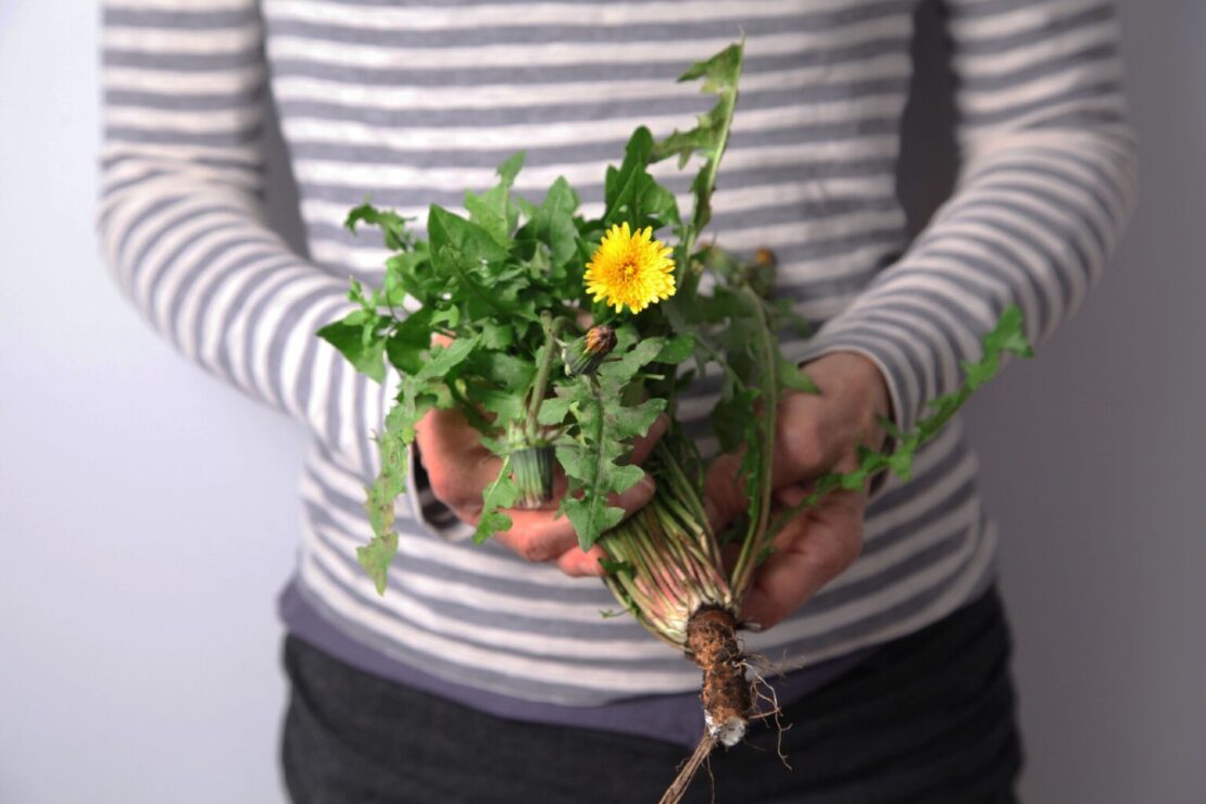 Give Yourself a Spring Life Reset With These 7 Herbal Tips! by Herbal Academy