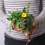 Give Yourself a Spring Life Reset With These 7 Herbal Tips! by Herbal Academy