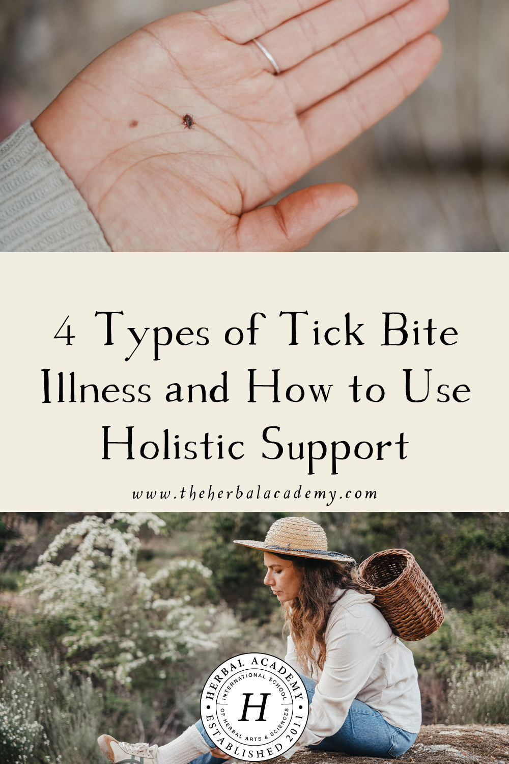 Tick bites are becoming more prevalent in the United States. Learn the 4 types of tick bite illness to watch out for and how to approach them holistically.