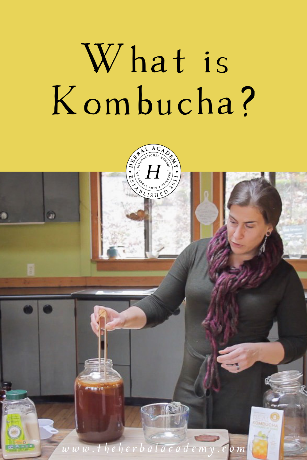 Ever found yourself wondering, “What is kombucha?” This fizzy drink has a rich history of use for its impressive nutritional profile and wellness benefits.