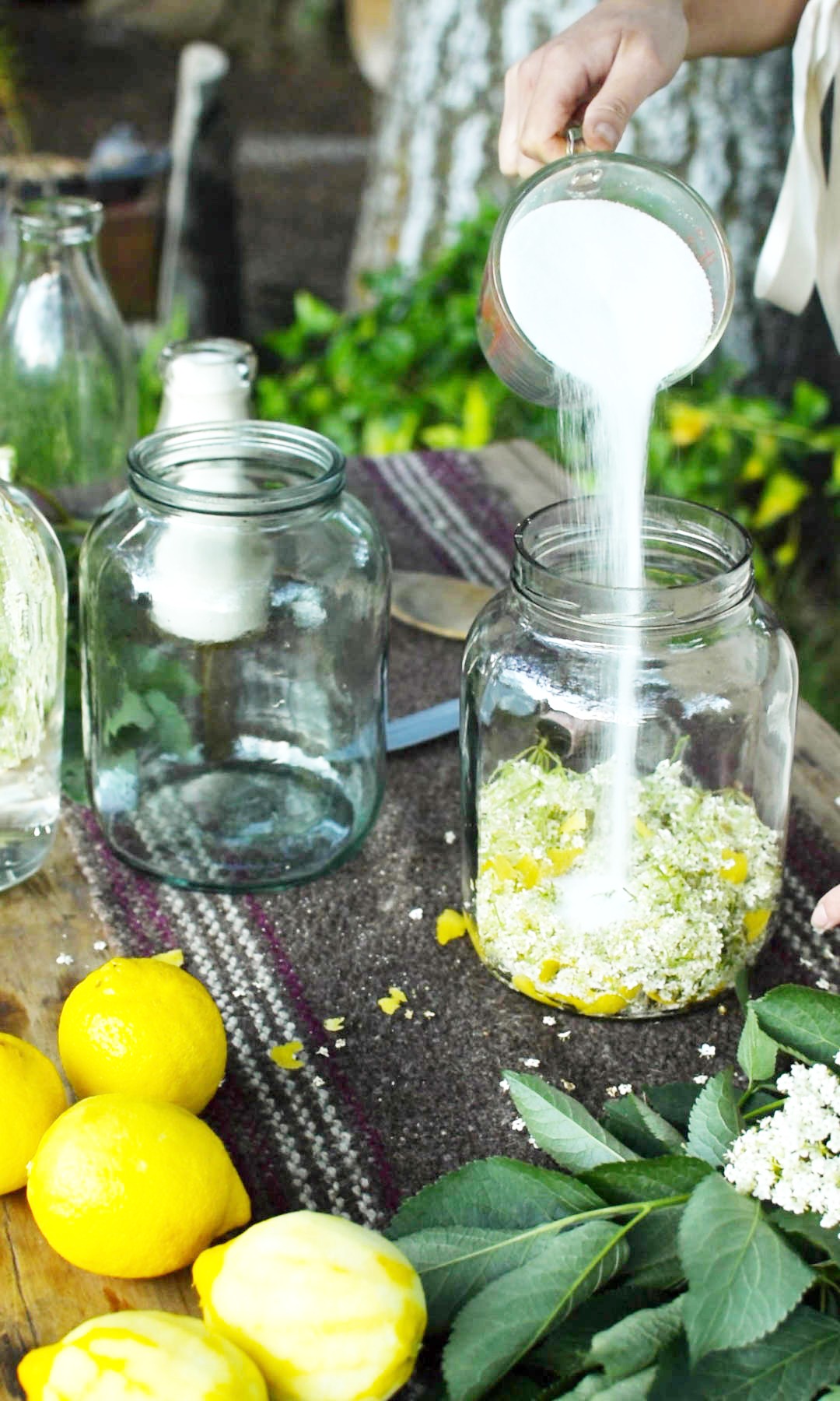 pouring sugar into a jar of elderflowers and lemon peel