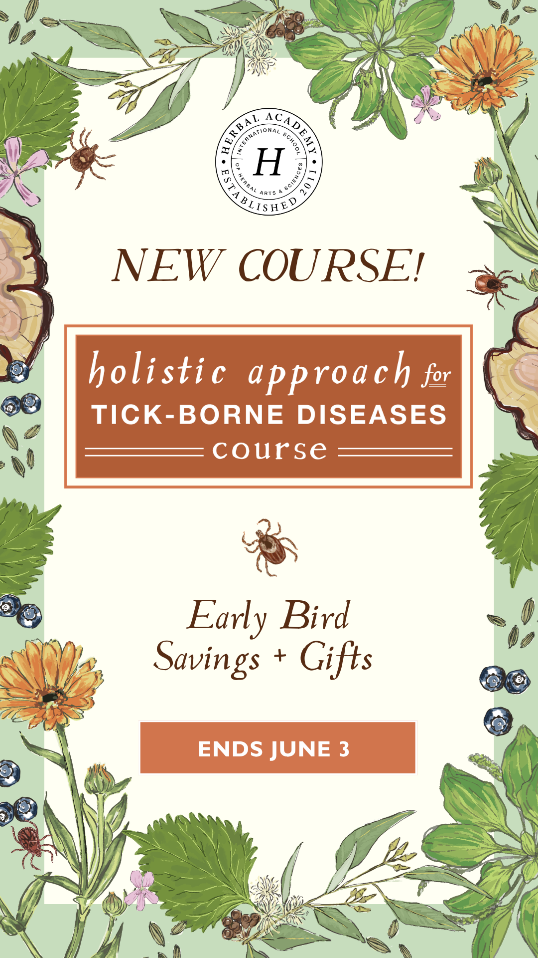 Holistic Approach for Tick-Borne Diseases - Story