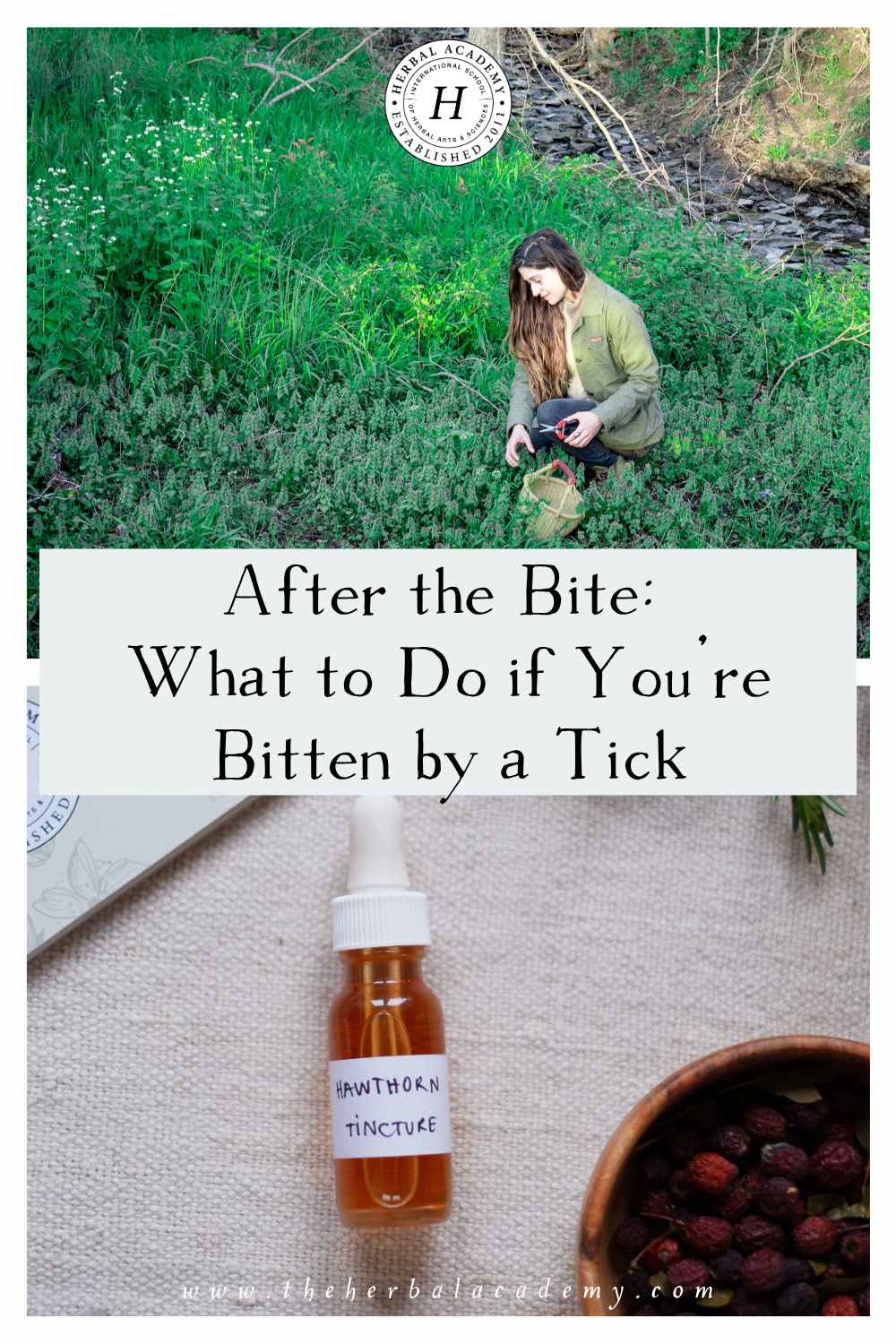 Tick borne diseases are becoming endemic in many areas of the United States. Feel empowered by knowing what to do if you're bitten by a tick.