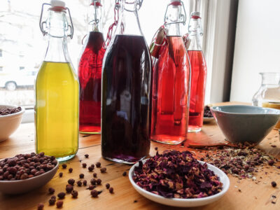 What is Kombucha? Herbalist’s Edition! by Herbal Academy