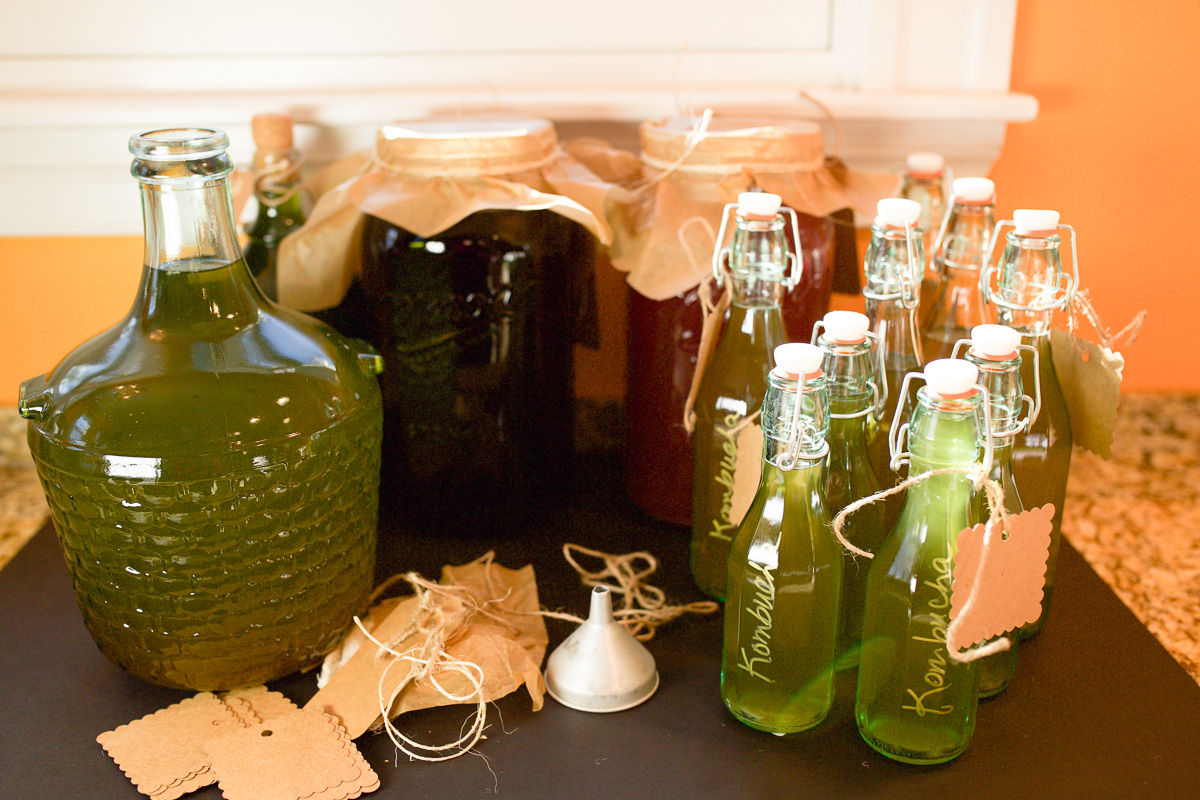 jars and bottles of kombucha brewing