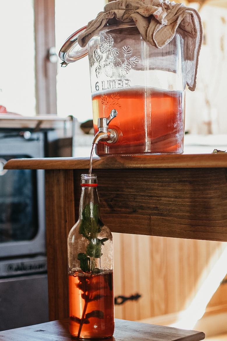 Ever found yourself wondering, “What is kombucha?” This fizzy drink has a rich history of use for its impressive nutritional profile and wellness benefits. kombucha running from a jar of kombucha into a bottle
