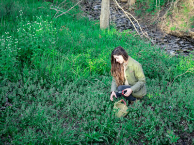 After the Bite: What to Do if You're Bitten by a Tick by Herbal Academy