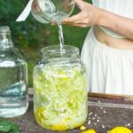 How to Make Elderflower Champagne by Herbal Academy