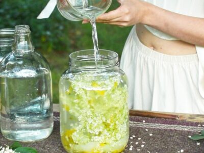 How to Make Elderflower Champagne by Herbal Academy