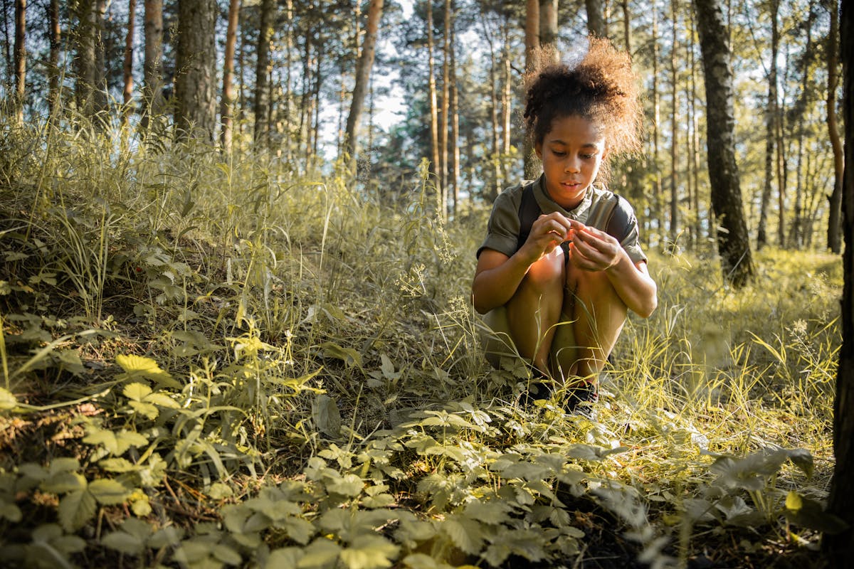 4 Types of Tick Bite Illness and How to Use Herbal Support by Herbal Academy
