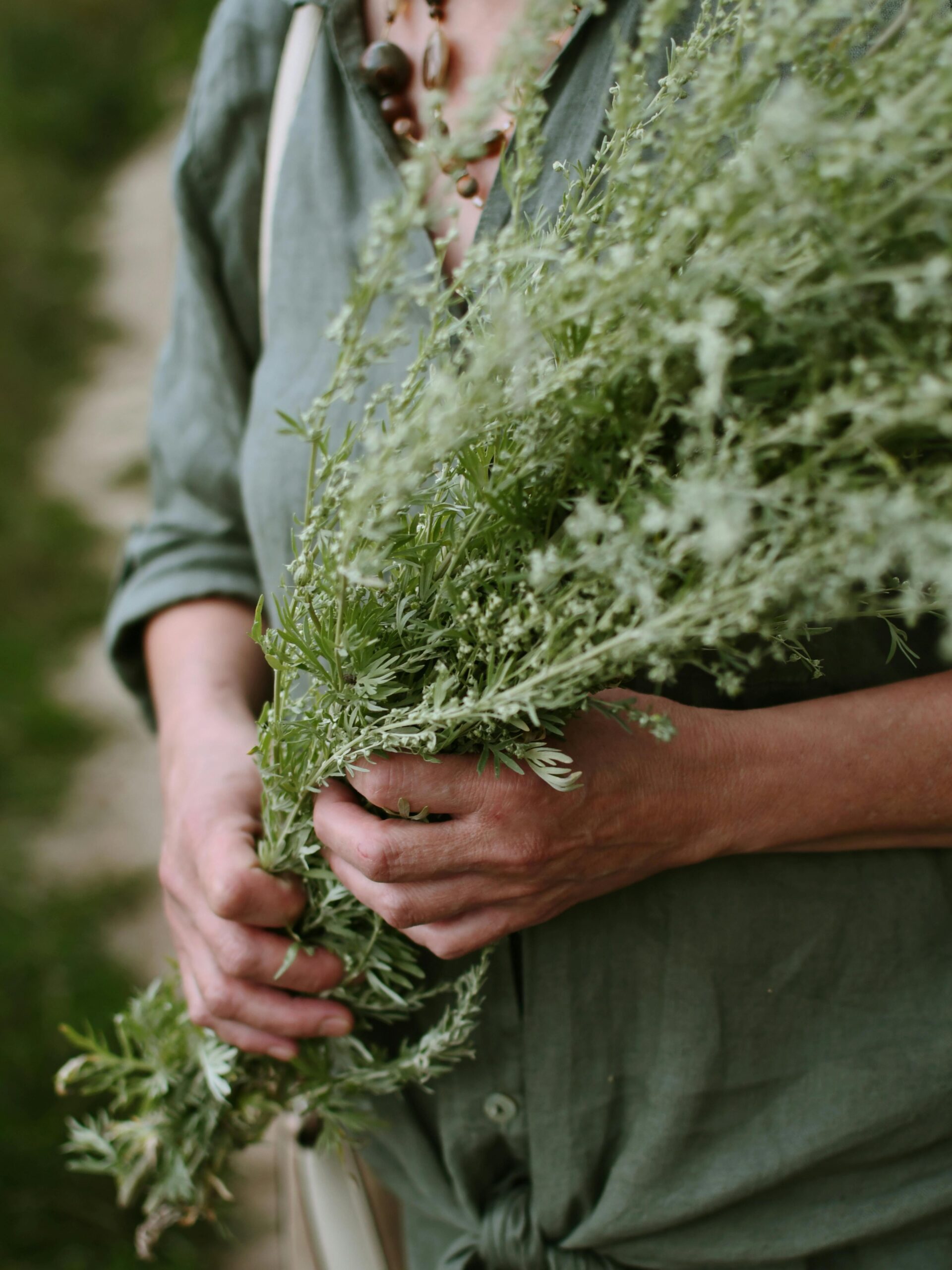 A woman in a blue shirt holding a bundle of herbs - representing herbal options covered in Herbal Academy's Holistic Approach for Tick-Borne Diseases Course. 