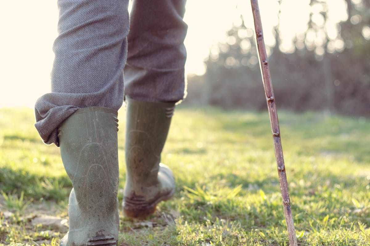 4 Types of Tick Bite Illness and How to Use Herbal Support by Herbal Academy