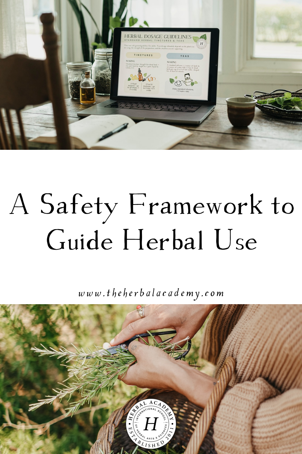 A Safety Framework to Guide Herb Use by Herbal Academy