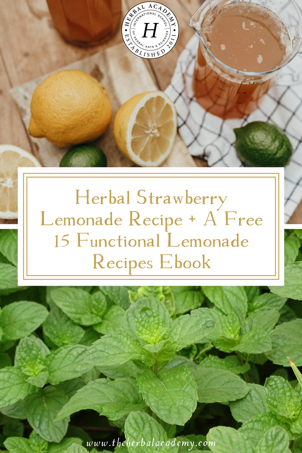 Cool off after a hot day in the sun with this thirst-quenching, sparkling Herbal Strawberry Lemonade recipe. It'll be your new summer staple!