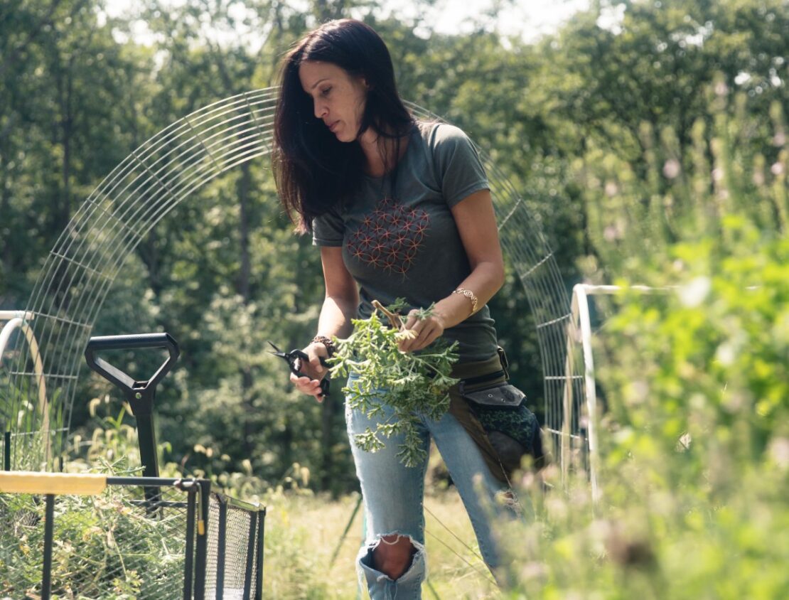 Herbal Academy Student Feature: Rae Bellows (@wildoriginsbotanicals) by Herbal Academy