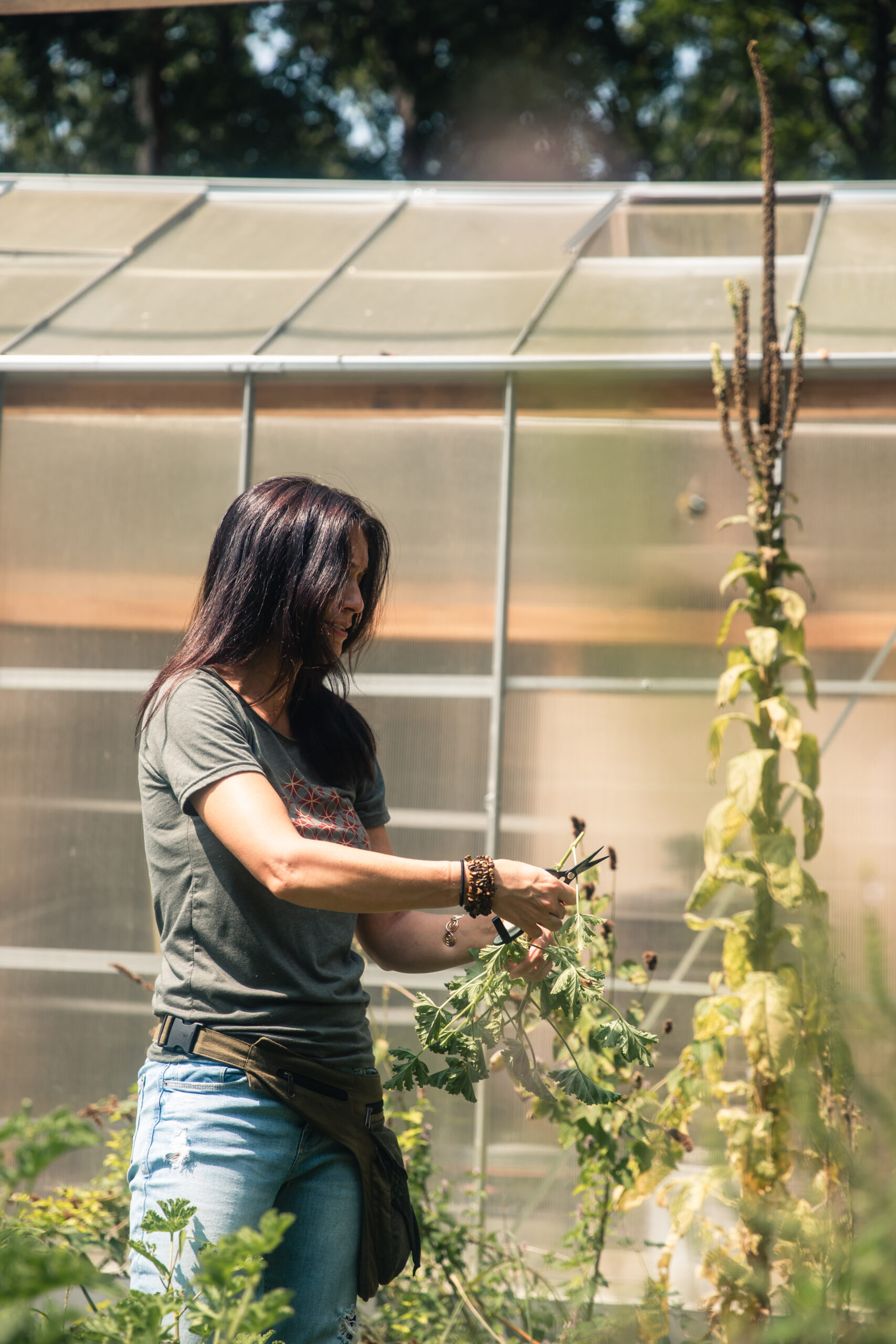 Rae harvesting herbs with shears