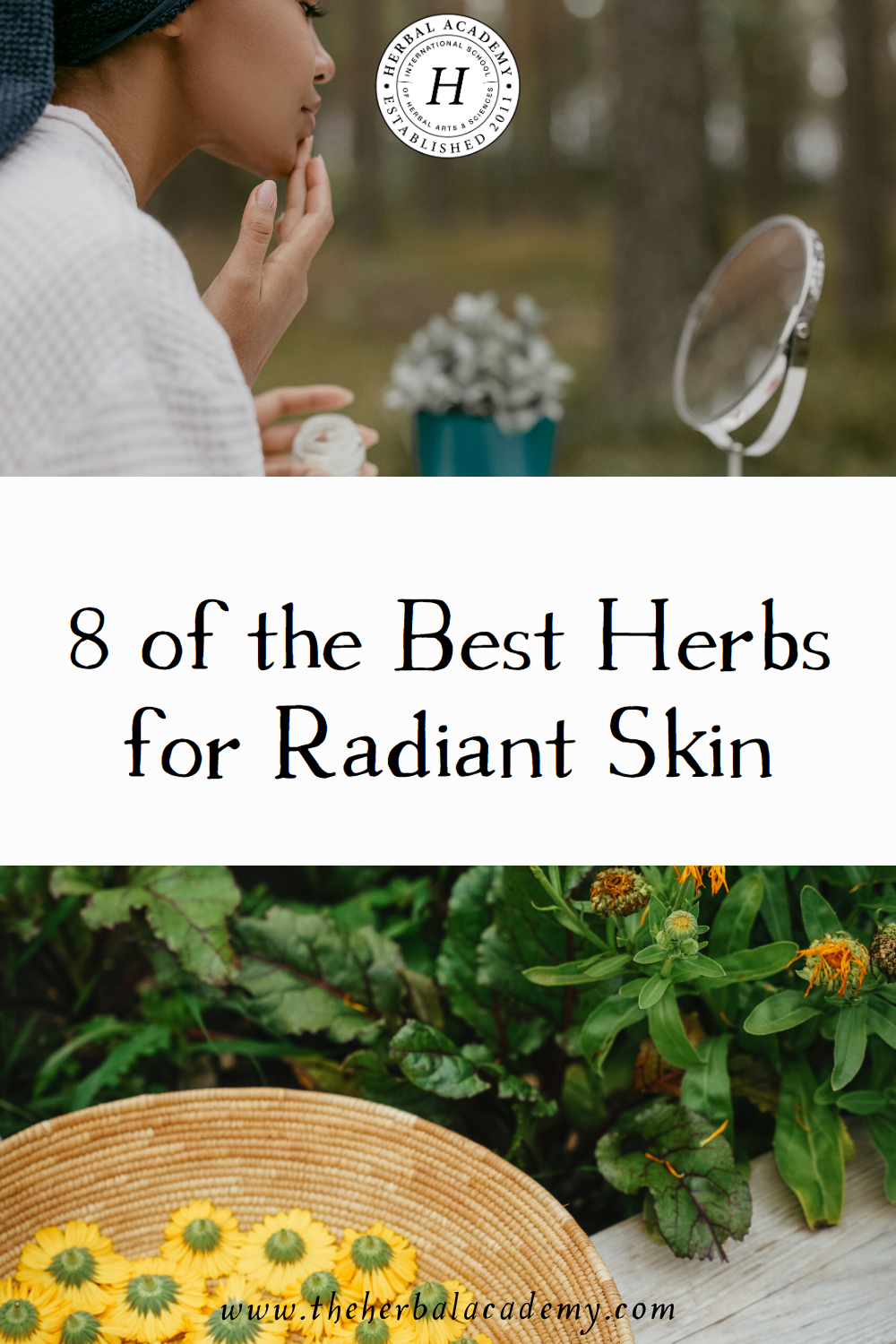 In herbal traditions, plants have long been cherished for their ability to soothe, restore, and support radiant skin.